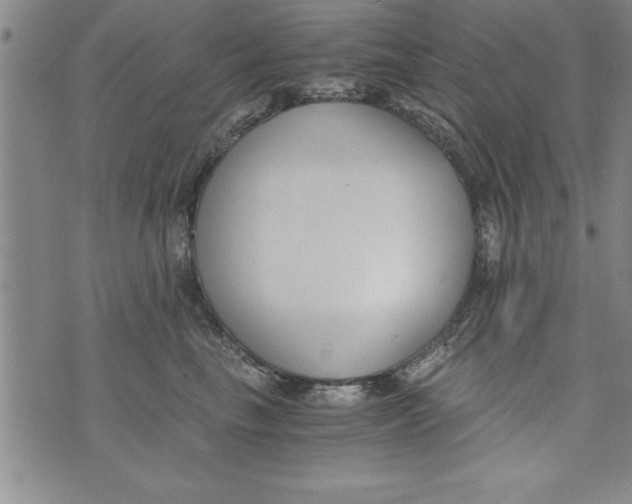 X0000073900665200609082149