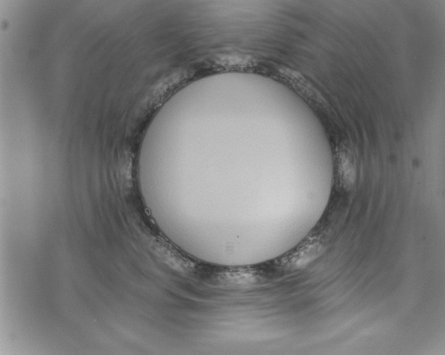 X0000073900668200609082149