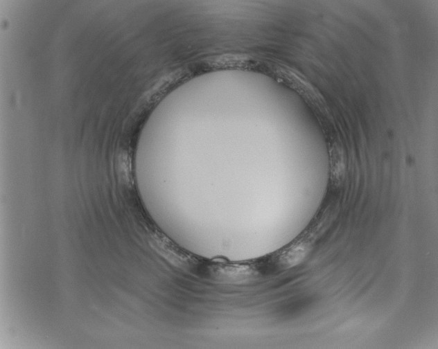 X0000073900669200609082149