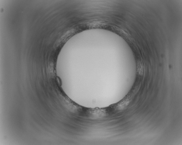 X0000073900670200609082149