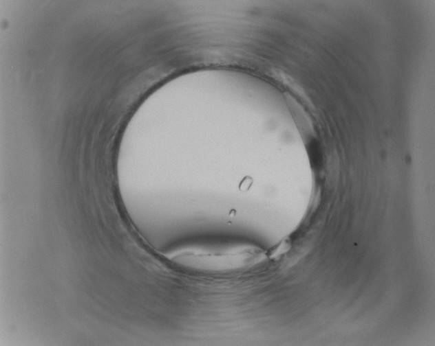 X0000073900673200609082148