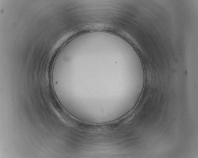 X0000073900674200609082148