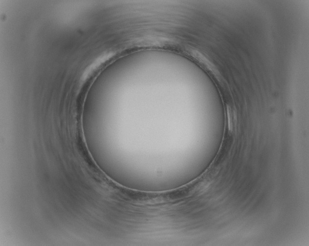 X0000073900675200609082148