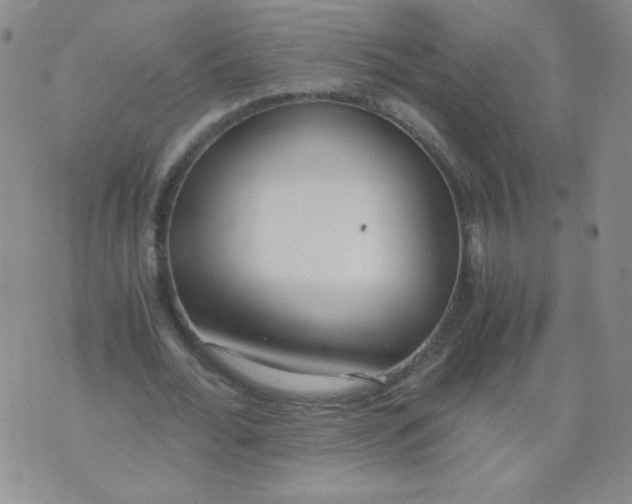 X0000073900676200609082148