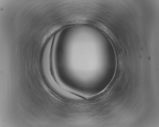 X0000073900677200609082148