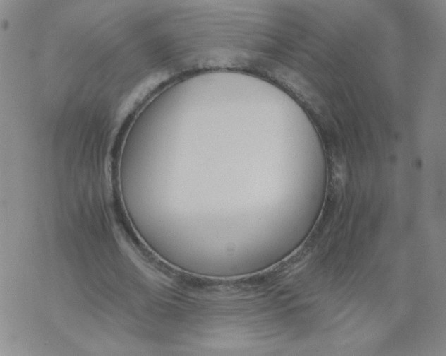 X0000073900678200609082148