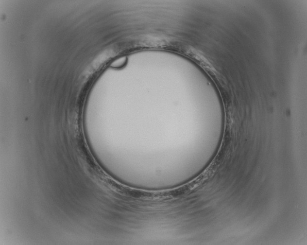 X0000073900679200609082148