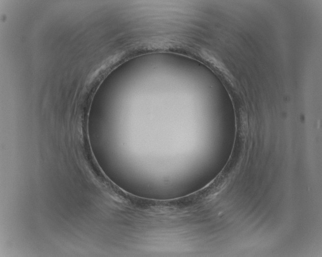 X0000073900681200609082148