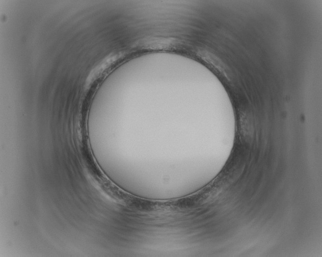 X0000073900682200609082148