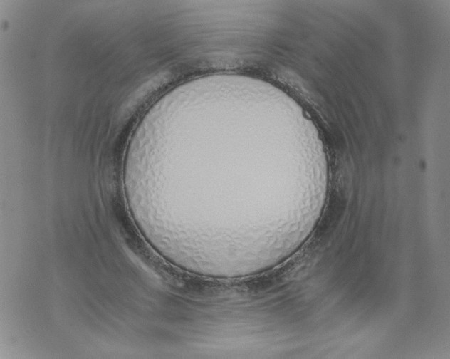 X0000073900683200609082148