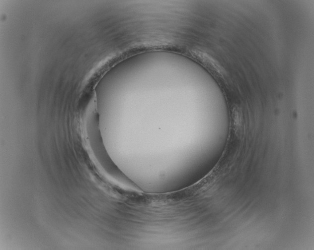 X0000073900684200609082148