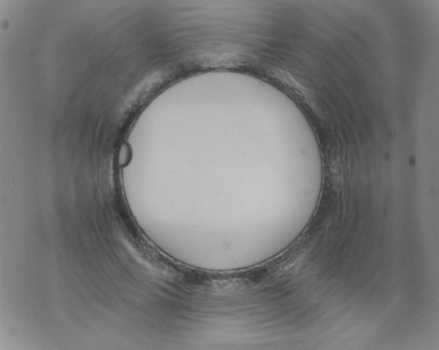 X0000073900686200609082148