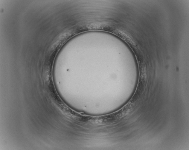 X0000073900687200609082148