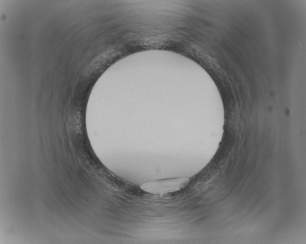 X0000073900689200609082148