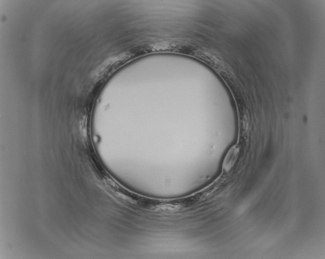 X0000073900691200609082148