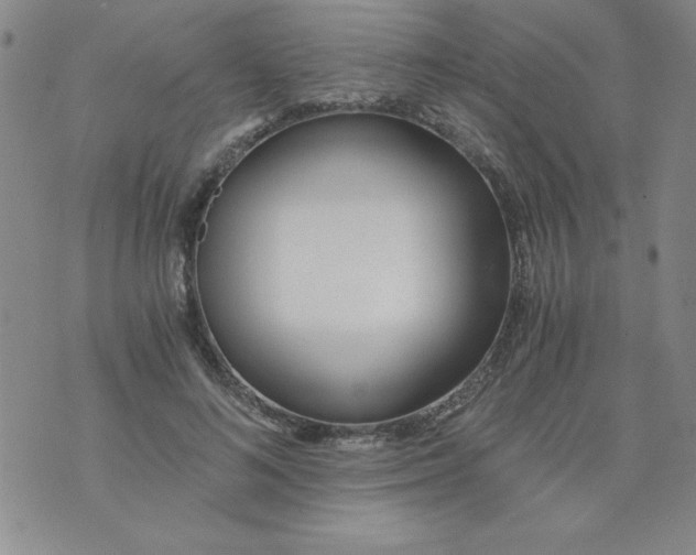 X0000073900692200609082148