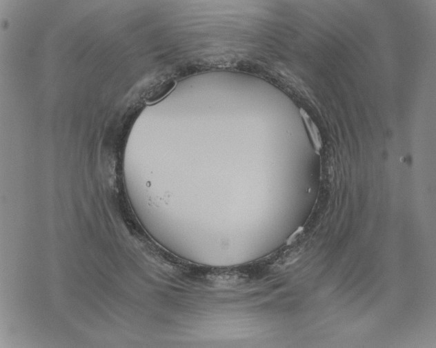 X0000073900693200609082148