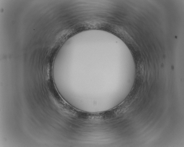 X0000073900694200609082148