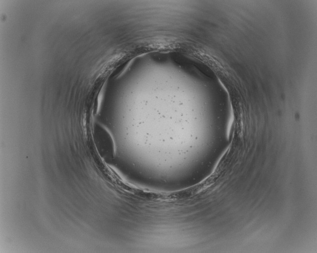 X0000073900696200609082148