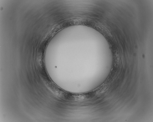 X0000073900698200609082148