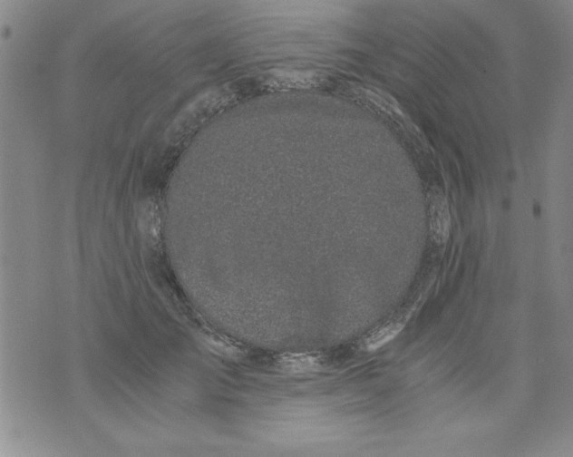 X0000073900701200609082148