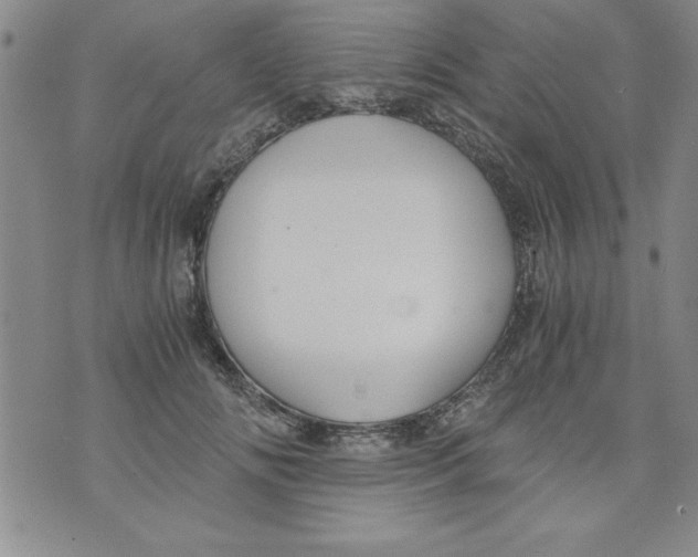 X0000073900702200609082148