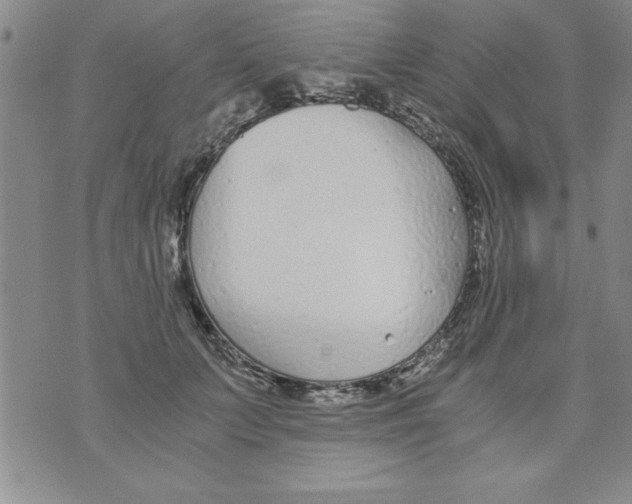 X0000073900703200609082148