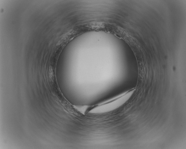 X0000073900704200609082148