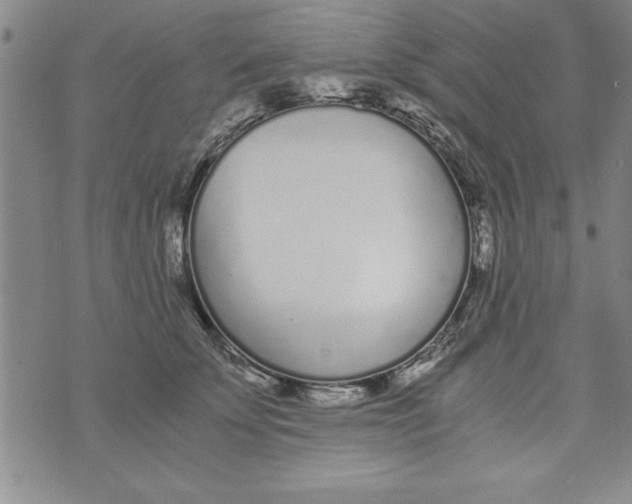 X0000073900707200609082148