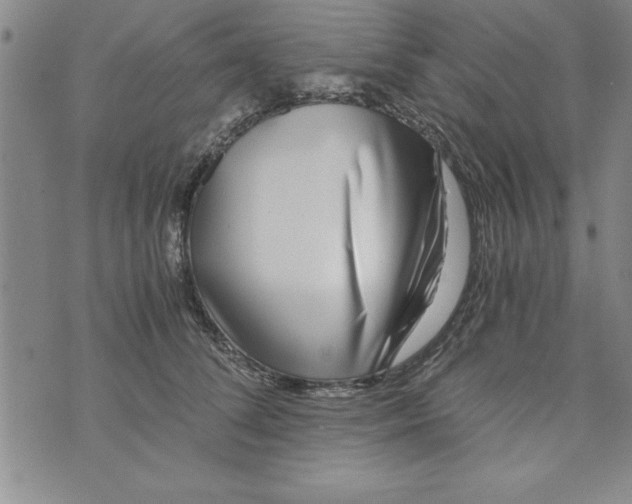 X0000073900708200609082148