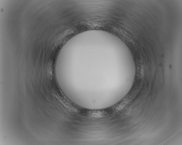 X0000073900710200609082148