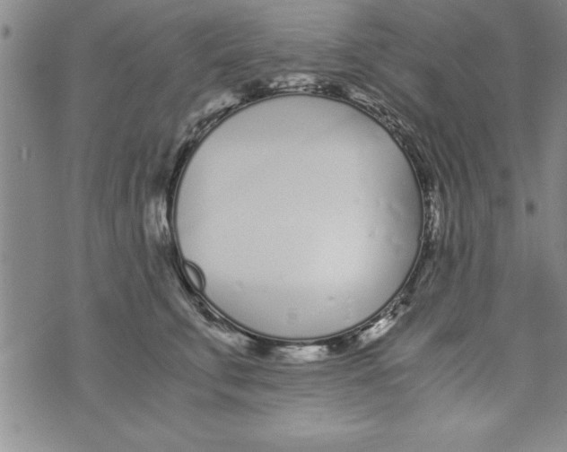 X0000073900711200609082148