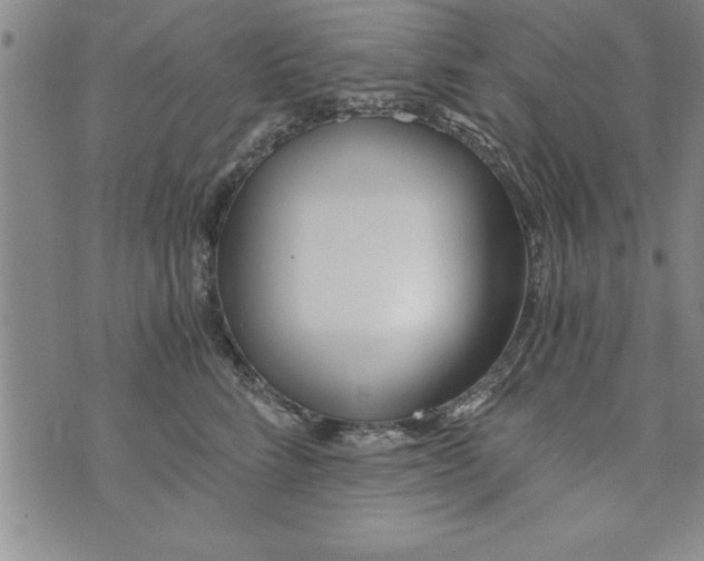 X0000073900712200609082148