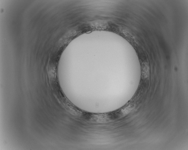 X0000073900713200609082148