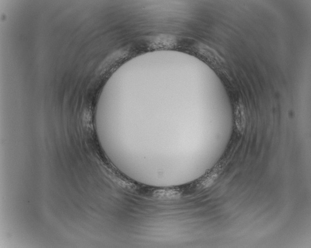 X0000073900714200609082148