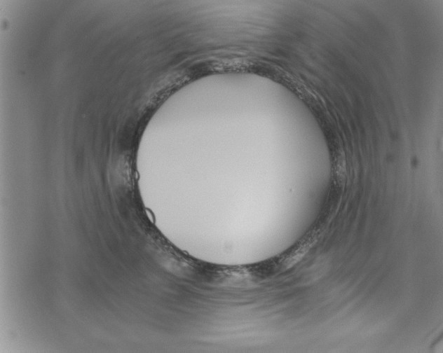 X0000073900715200609082148