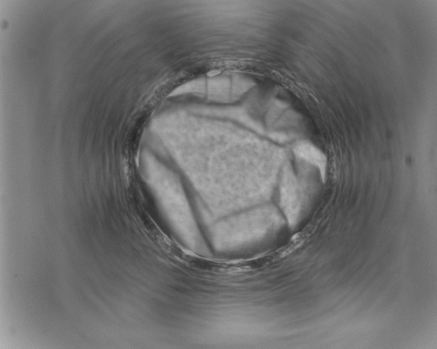 X0000073900716200609082148