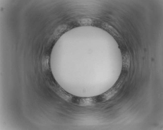 X0000073900717200609082148