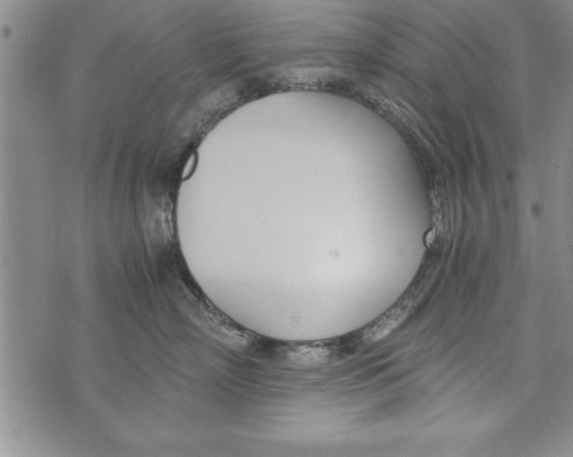 X0000073900718200609082148