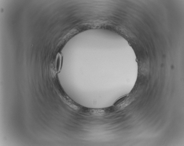 X0000073900719200609082148