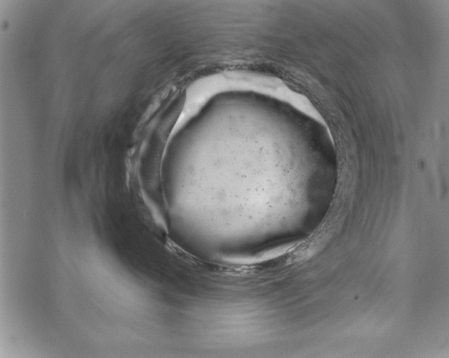 X0000073900720200609082148