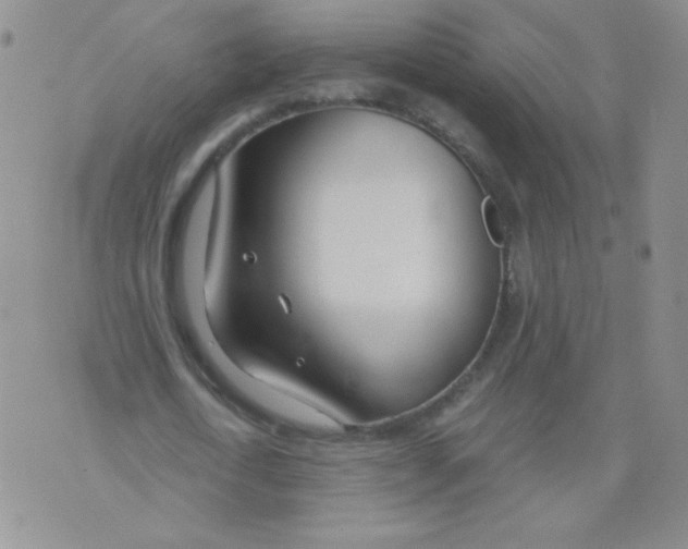 X0000073900722200609082147