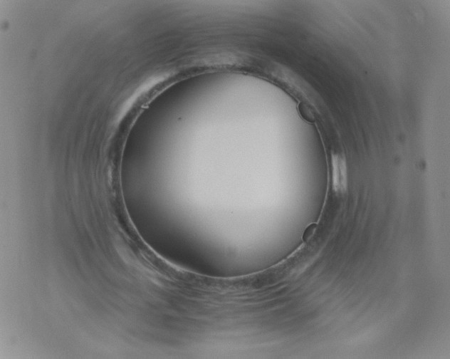 X0000073900723200609082147