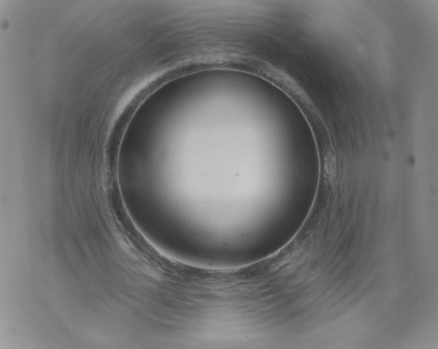 X0000073900724200609082147