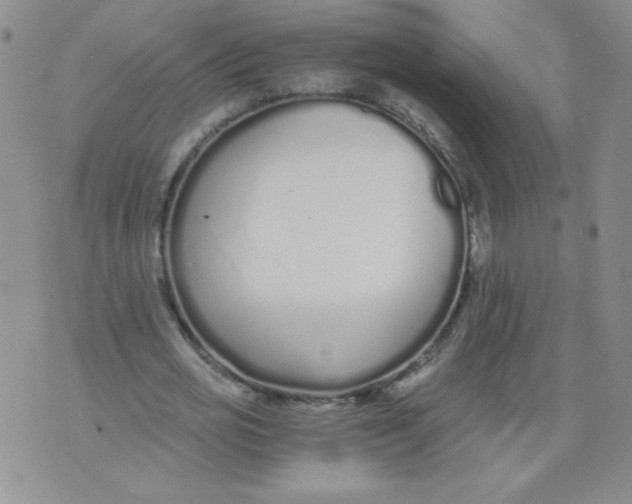 X0000073900725200609082147