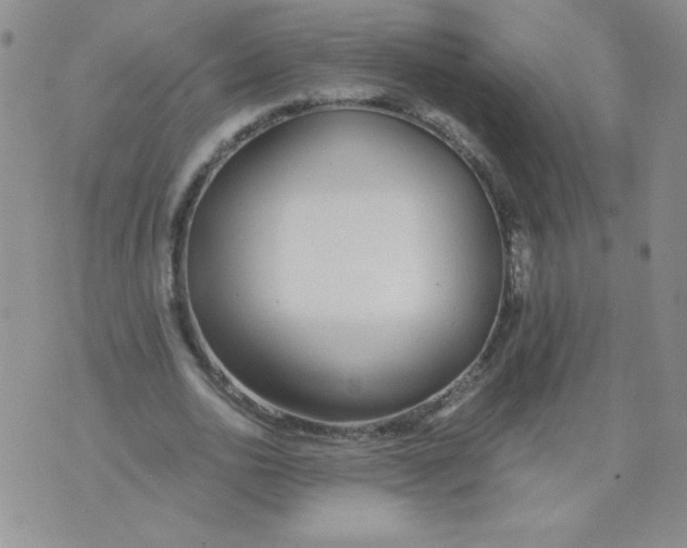 X0000073900726200609082147