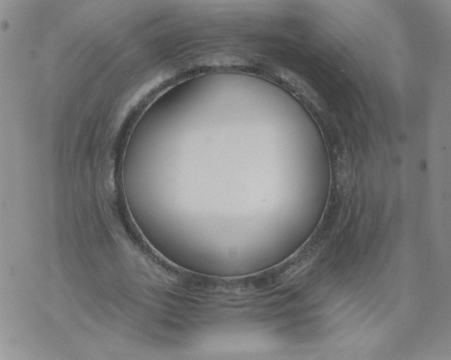 X0000073900727200609082147