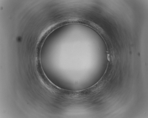 X0000073900728200609082147