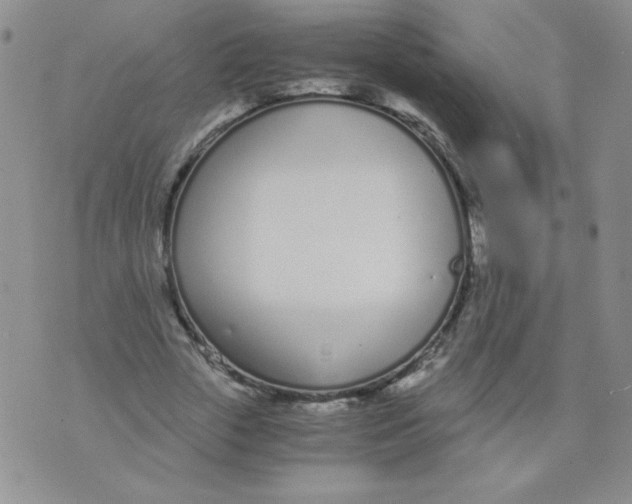 X0000073900729200609082147