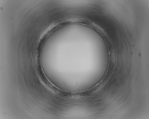 X0000073900730200609082147